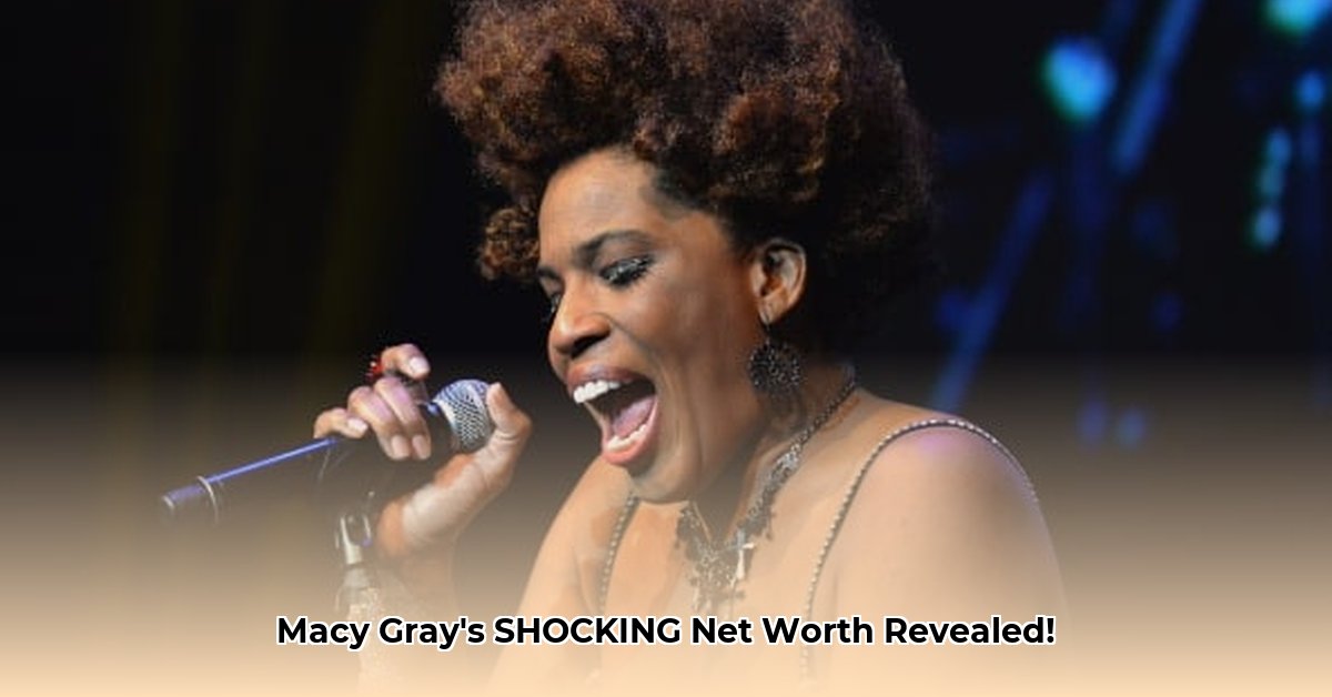 what-is-macy-gray-s-net-worth